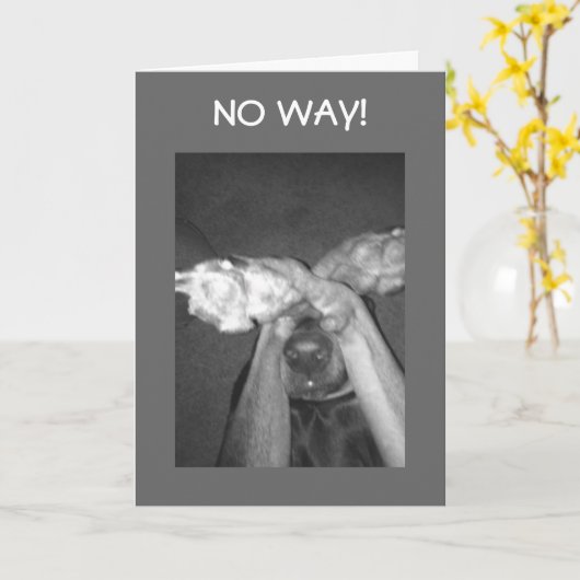 CARTE DITES QUE CE N'EST PAS SI ***80*** WOW ! ! ! (Fleur jaune)