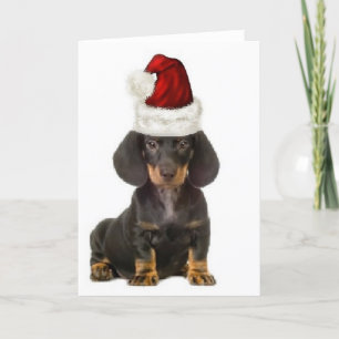 Carte Ditzy Dogs~Carte pour notes original~Dachshund
