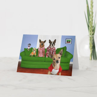Carte Divan