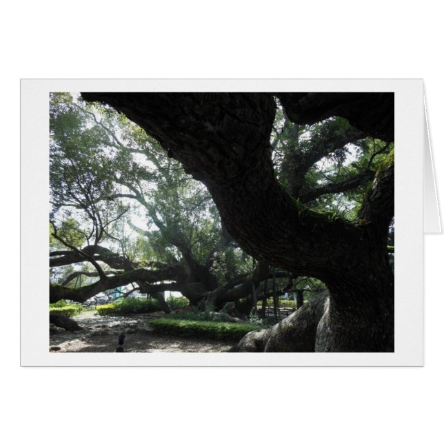 Carte Divine Arbre (Devant Horizontal)