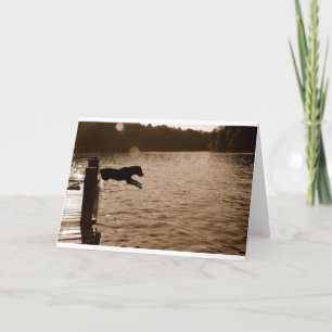 Carte Dixie sautant du dock