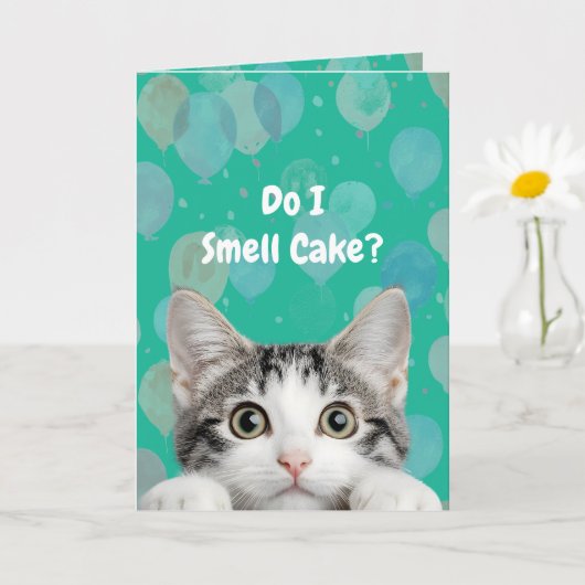Carte Do I Smell Cake Cute kitten Birthday Card (Petite plante)
