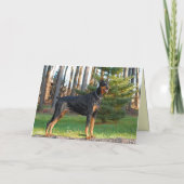 Carte Doberman (Dos)