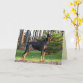 Carte Doberman (Fleur jaune)