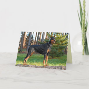 Carte Doberman
