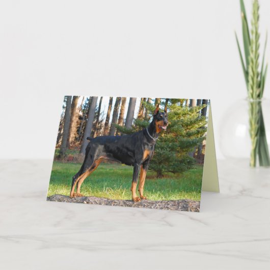 Carte Doberman (Devant)