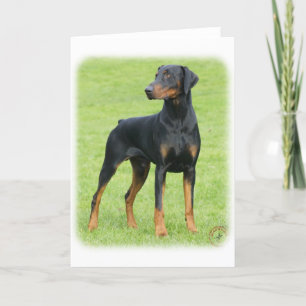 Carte Doberman 9P99D-47