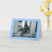 Carte Doberman, j'aimerais que tu sois là. (Fleur jaune)