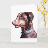 Carte Doberman Pinscher Rouge (Fleur jaune)