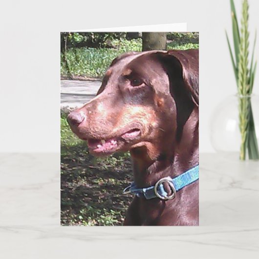 Carte Doberman Pinscher Rouge (Devant)