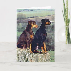 Carte Doberman Portrait Portrait Blank Grey Card