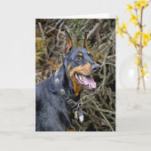 Carte Doberman Smile (Fleur jaune)