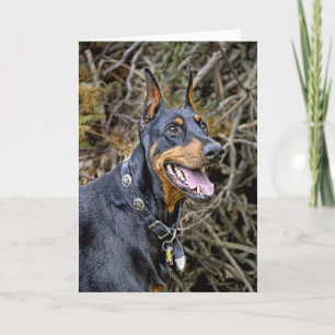 Carte Doberman Smile