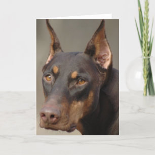 Carte Dobermann