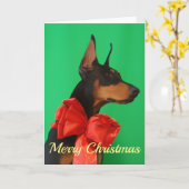 Carte Dobermann Potrait avec l'arc rouge de Noël (Fleur jaune)
