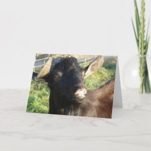 Carte Dobie Billy alpin
