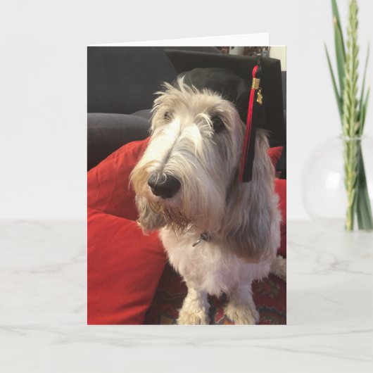 Carte d'obtention du diplôme de chien (Devant)