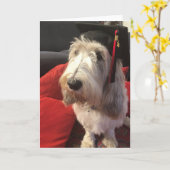 Carte d'obtention du diplôme de chien (Fleur jaune)