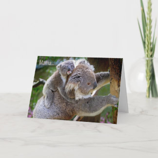 Carte d'occasion de /All de jour d'ours de koala
