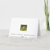 Carte Doctorbird - oiseau national de la Jamaïque (Dos)