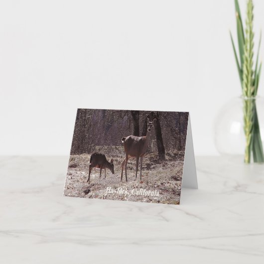 Carte Doe et fawn..... (Devant)