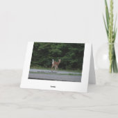 Carte Doe & Fawn (Dos)