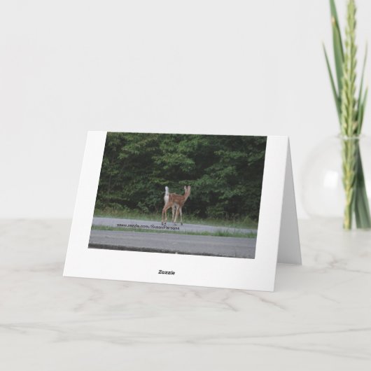 Carte Doe & Fawn (Dos)