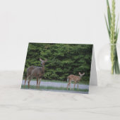 Carte Doe & Fawn (Devant)
