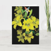 Carte d'OES (Devant)