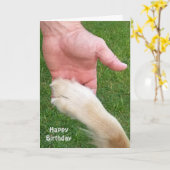 Carte dog paw in man hand (Fleur jaune)