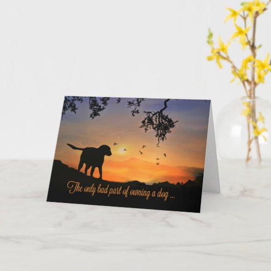 Carte Dog Sympathy Card, Condolences for Loss of Dog (Fleur jaune)