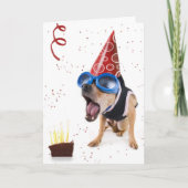 Carte dogcake (Devant)