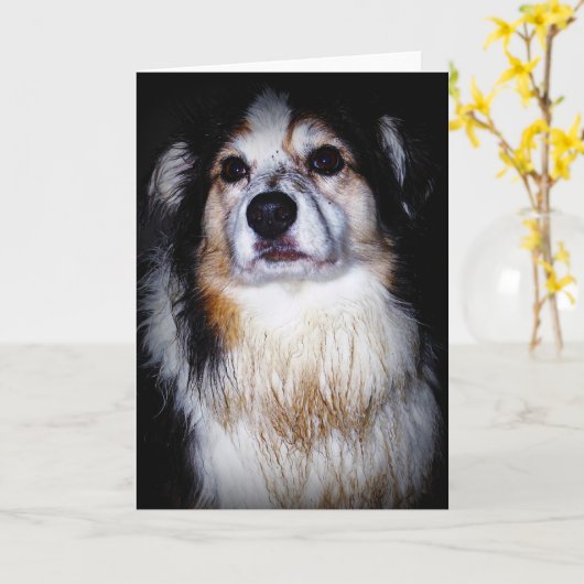 Carte Doggie de Digger (Fleur jaune)
