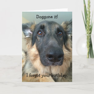 Carte Doggone !  Oublié Ton Anniversaire !