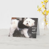 CARTE DOGGONE, TU AS 40 ANS ? (Fleur jaune)