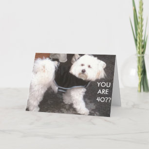 CARTE DOGGONE, TU AS 40 ANS ? ?