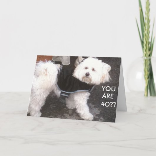 CARTE DOGGONE, TU AS 40 ANS ? (Devant)