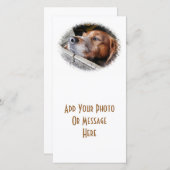 Carte DOGS (Devant / Derrière)