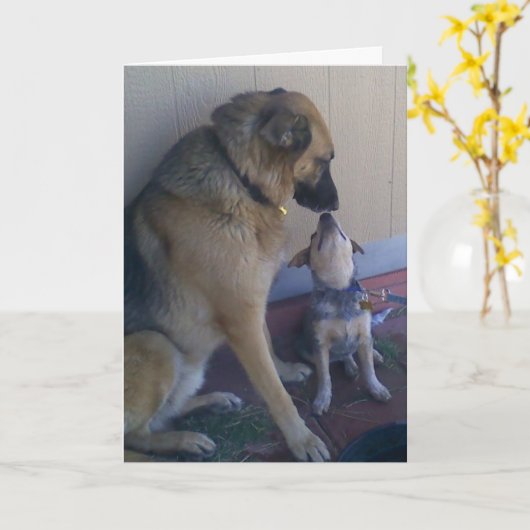 Carte Dogs Pets (Fleur jaune)