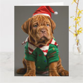 Carte Dogue de Bordeaux Elf Puppy Christmas Card (Fleur jaune)