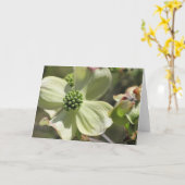 Carte Dogwood (Fleur jaune)
