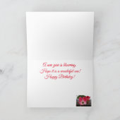 Carte Dogwood rose (Intérieur)