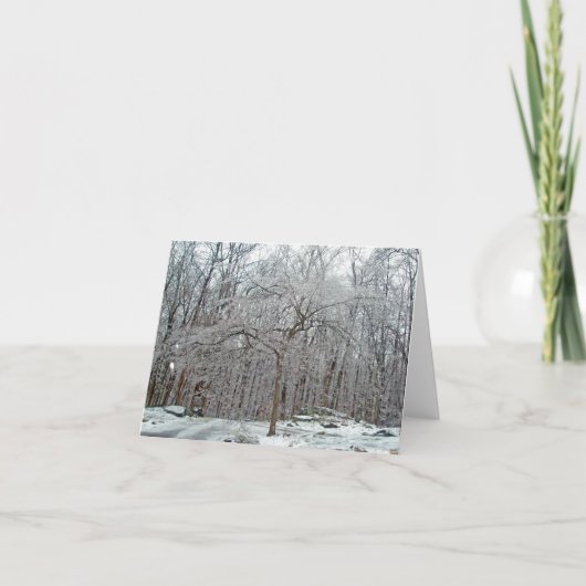 Carte Dogwood Tree in Winter Ice Note Card (Devant)