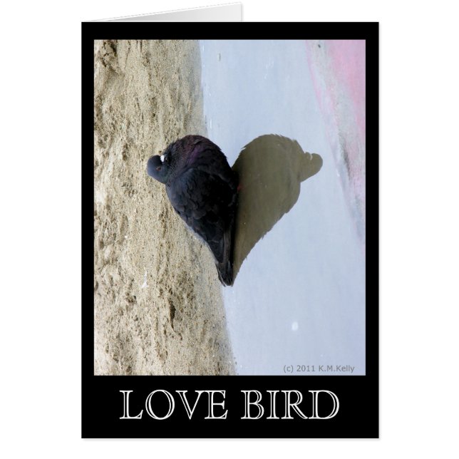 Carte d'oiseau d'amour (Devant)