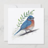 Carte d'oiseau d'art Bluebird (Devant)