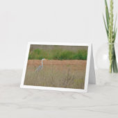 Carte d'oiseau de Heron gris (Devant)