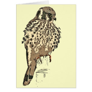 Carte d'oiseau de Raptor de crécerelle
