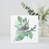 Carte d'oiseau Nuthatch à poitrine blanche (Debout devant)