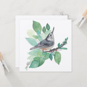 Carte d'oiseau Nuthatch à poitrine blanche (Devant/Arrière en situation)