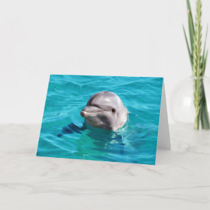Carte Dolphin dans Blue Water Photo